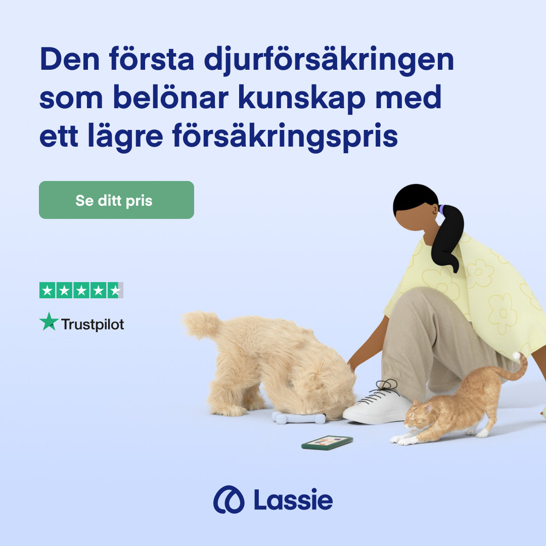 Lassie – Förebyggande Djurförsäkring för Hund & Katt
