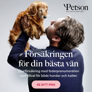 Petson – Hundförsäkringen där Kunskap Lönar Sig