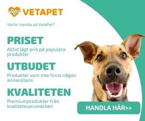 VetaPet – Hälsoprodukter för ditt husdjur