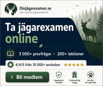 Din Jägarexamen – Digital utbildning för jägarexamen