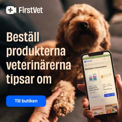 FirstVet – Veterinär & Djurbutik i Mobilen