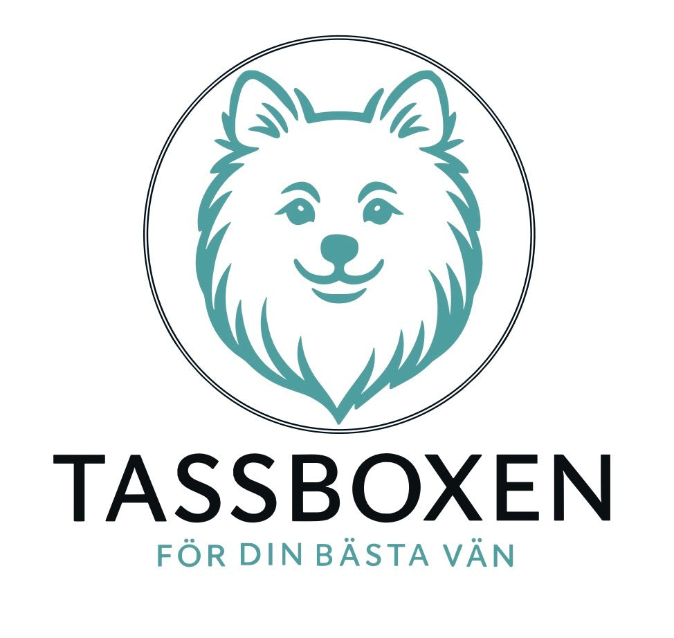Tassboxen – Prenumerationsbox för hundar