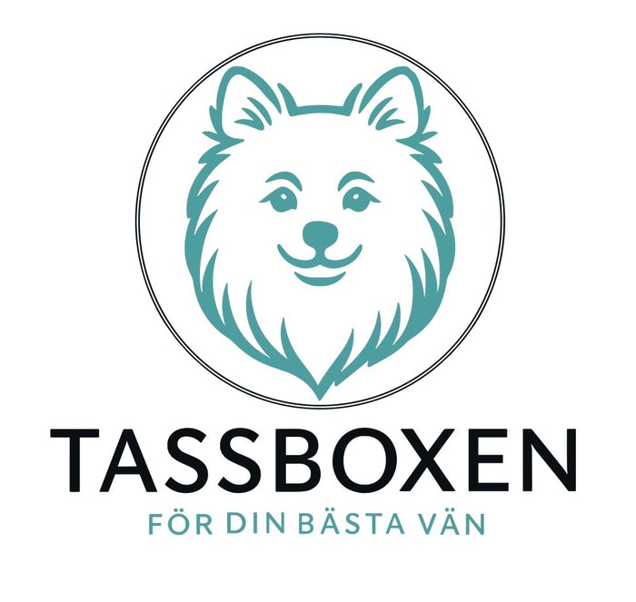 Tassboxen – Prenumerationsbox för hundar
